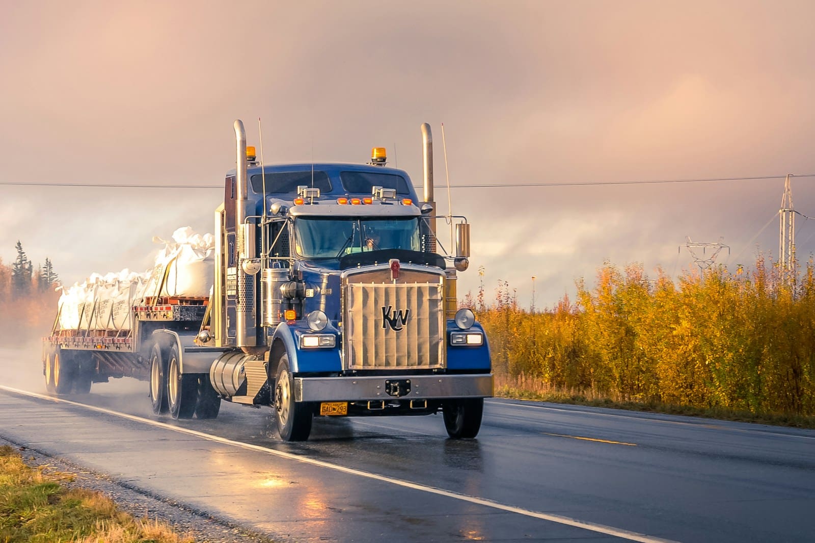 white and blue truck on road during daytime covered by truck insurance