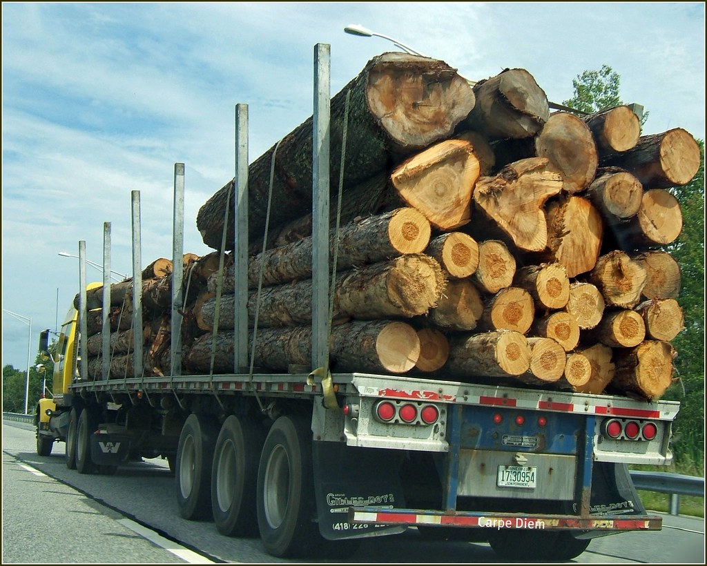 Georgia Logging Truck covered by insurance hauling unprocessed logs